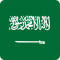 Human-made Translation: Arabic
