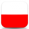 Google Translation: Polish for v4