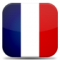 Google Translation: French for v4