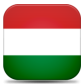 Google Translation: Hungarian for v4