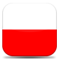 Google Translation: Polish for v4