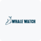 Whale Watch